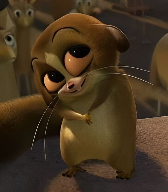 meme cười đểu phản ứng hài