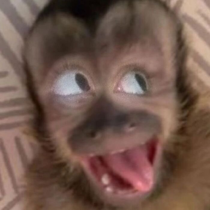 meme cười đểu phản ứng lầy