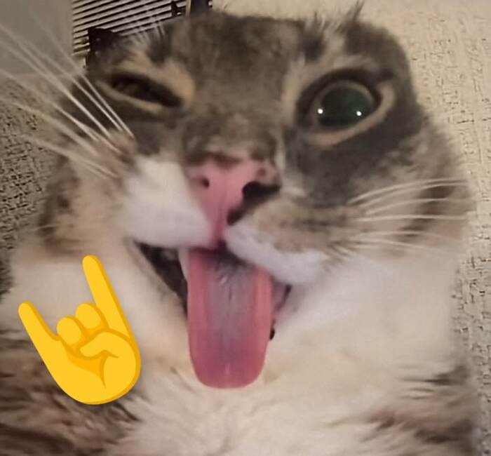 meme cười đểu phản ứng ngáo