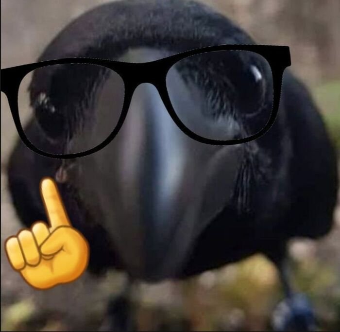 meme dark biểu cảm đơ