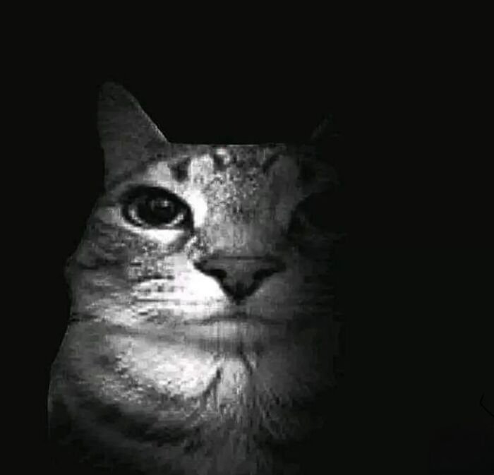 meme dark nhìn buồn cười