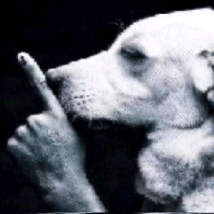 meme dark phản ứng gắt