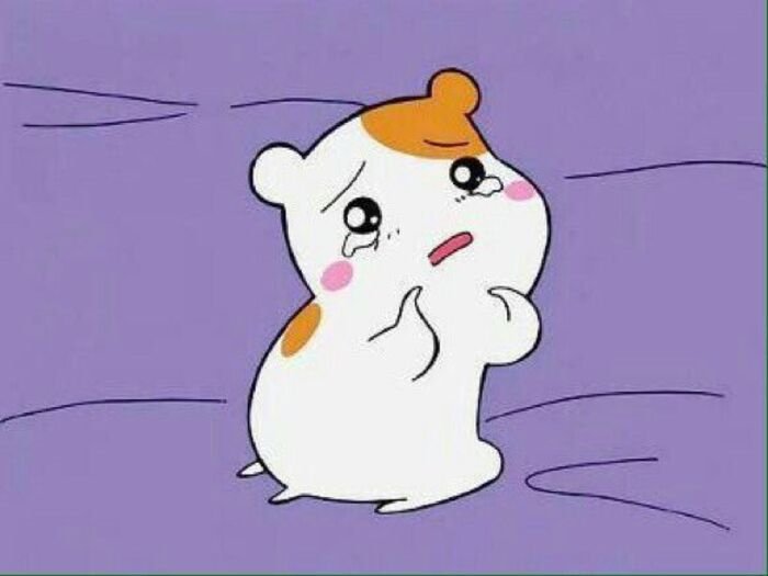 meme dễ thương ánh mắt đáng yêu