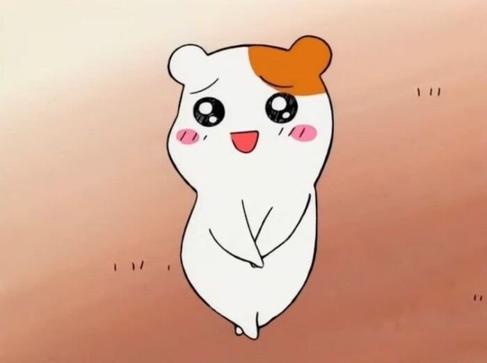 meme dễ thương nhìn ngạc nhiên