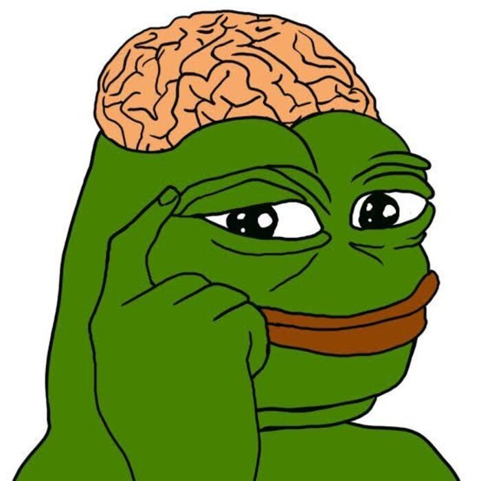 meme ếch dùng não