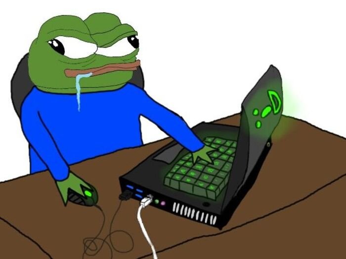 meme ếch ngồi máy tính
