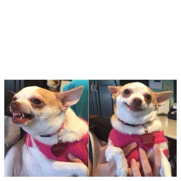 meme generator tạo meme dễ dàng