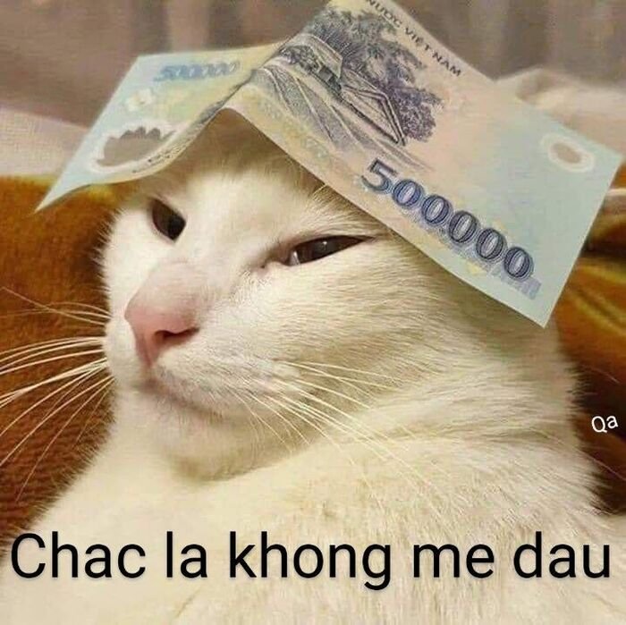 meme hài bá đạo