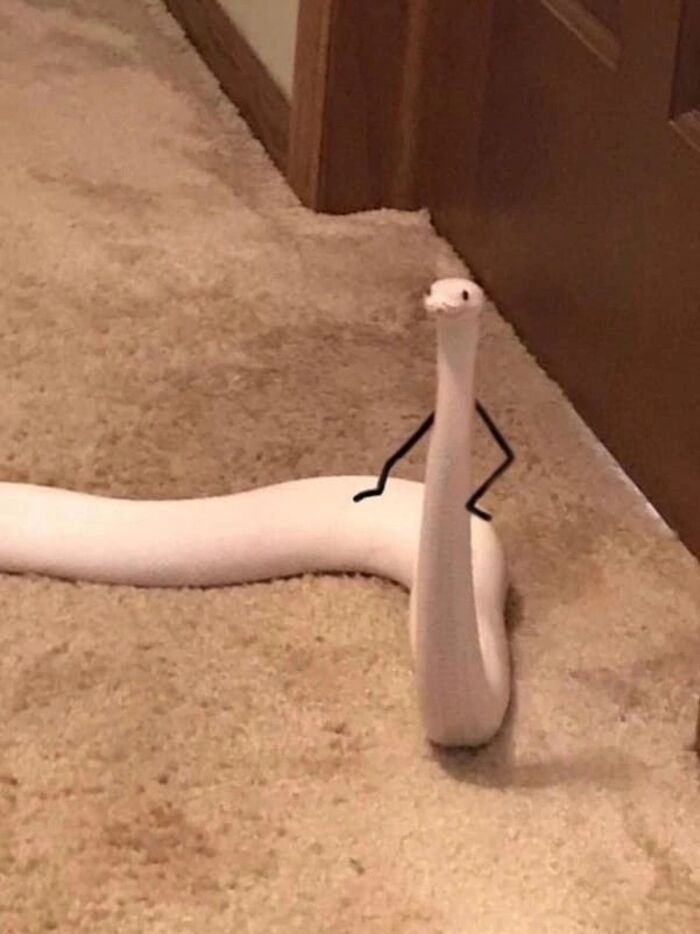 meme hài biểu cảm hài