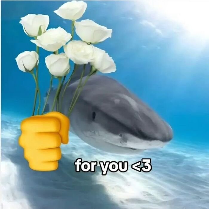 meme hài biểu cảm lạ