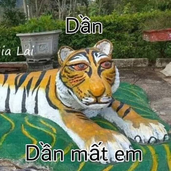 meme hài bựa