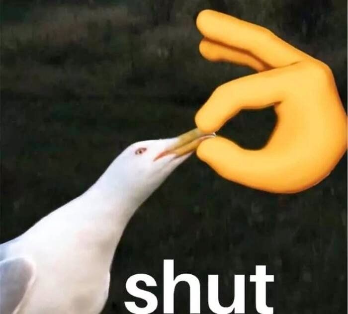 meme hài cực bựa