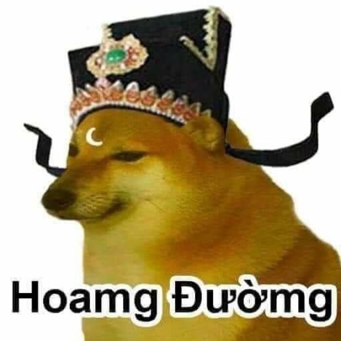 meme hài cười không nhịn được