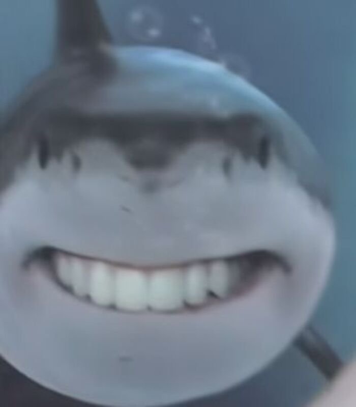 meme hài cười lăn lộn