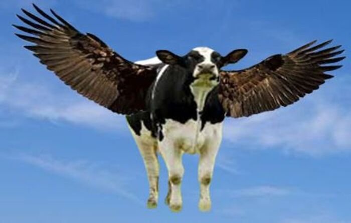 meme hài khoảnh khắc hài