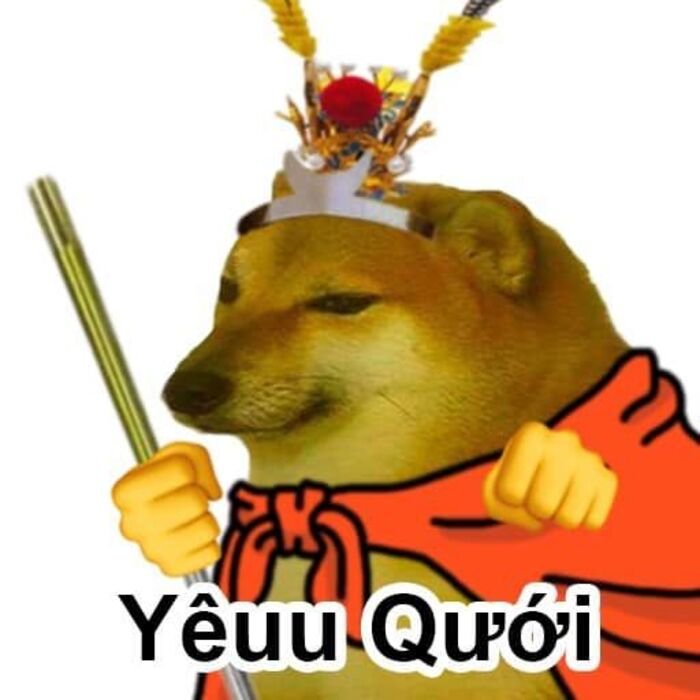 meme hài nhìn chằm chằm