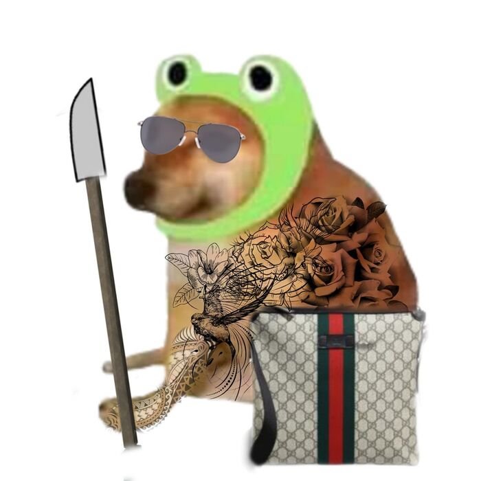 meme hài nhìn ngơ ngác