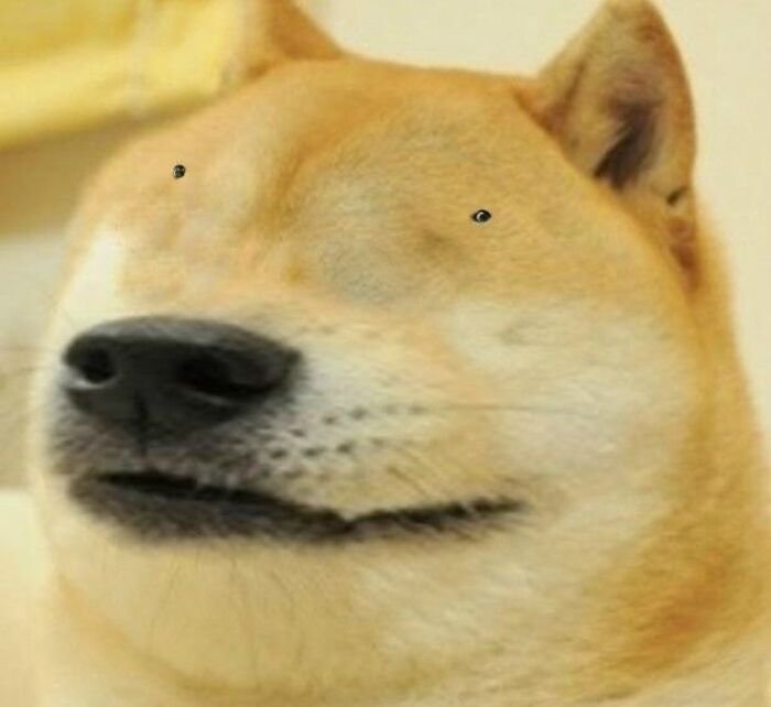 meme hài phản ứng bất ngờ