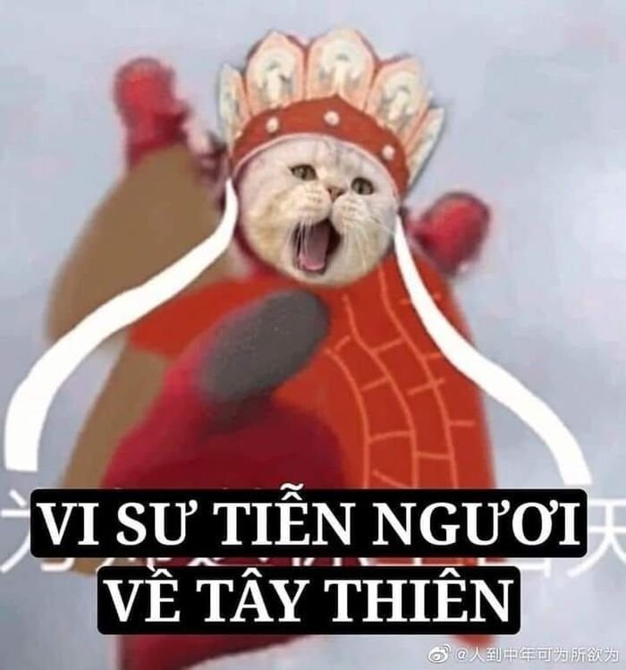 meme hài tình huống hài