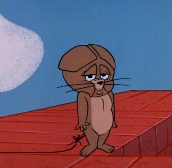 meme jerry nhìn sang bên