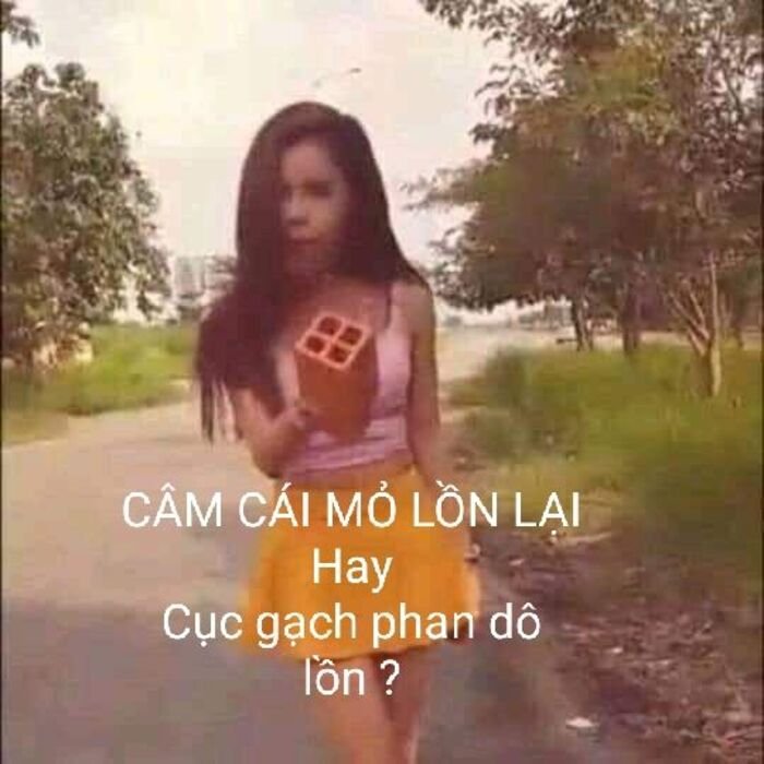 meme linda nhìn sang bên