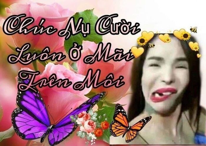 meme linda phản ứng hài