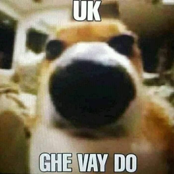 meme ok biểu cảm hài