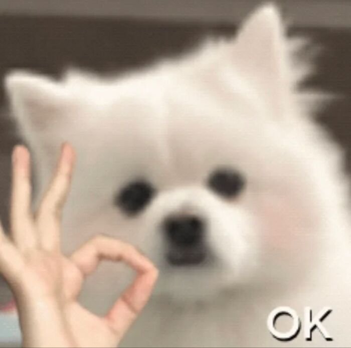 meme ok biểu cảm sốc