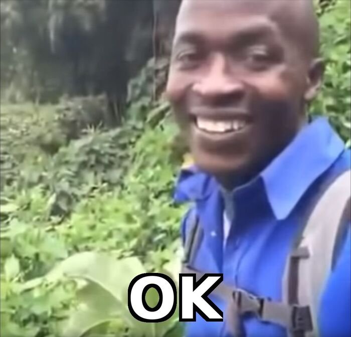 meme ok nhìn chằm chằm