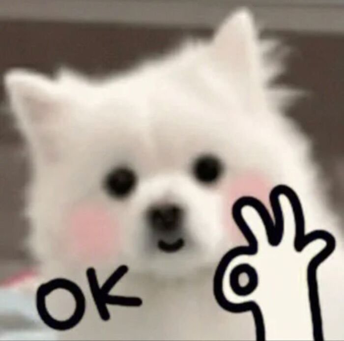 meme ok nhìn sang bên