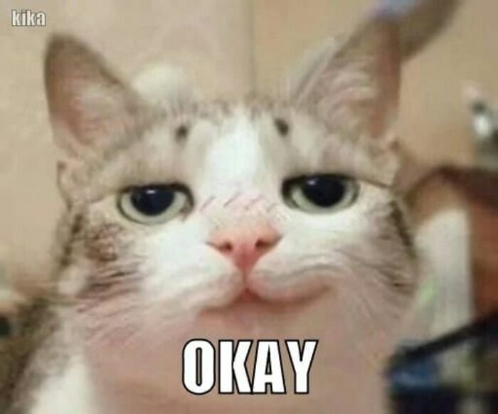 meme ok troll bạn bè