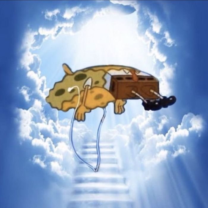 ảnh meme an ủi thiên đường