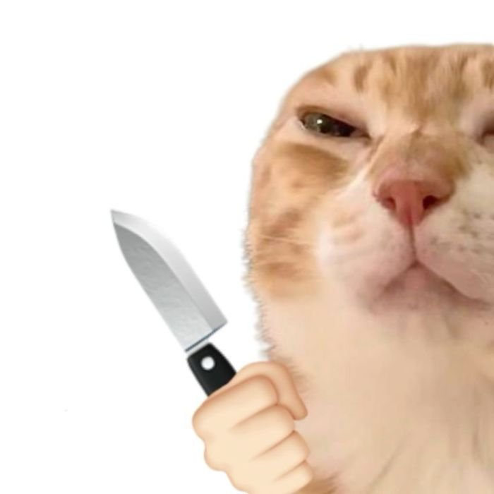 ảnh meme cầm dao lườm