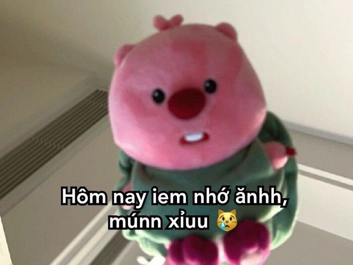 ảnh meme đáng yêu cute