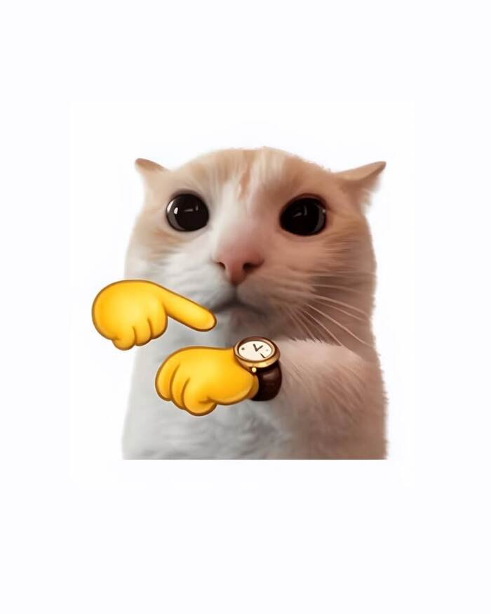 ảnh meme đáng yêu mèo ghép