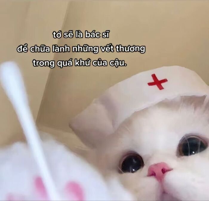ảnh meme đáng yêu xinh