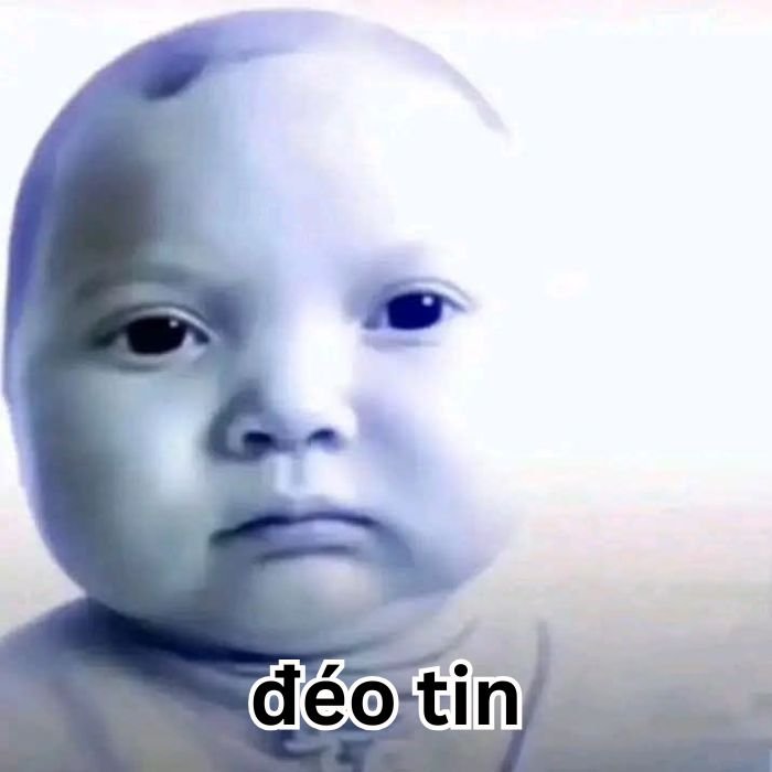 ảnh meme đéo tin bé ai