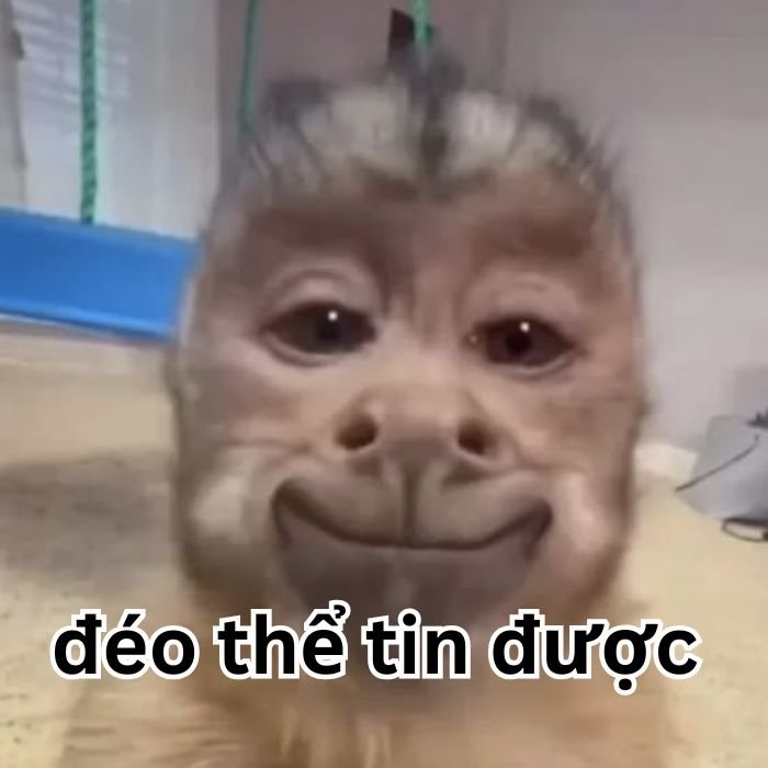 ảnh meme đéo tin bựa nhất