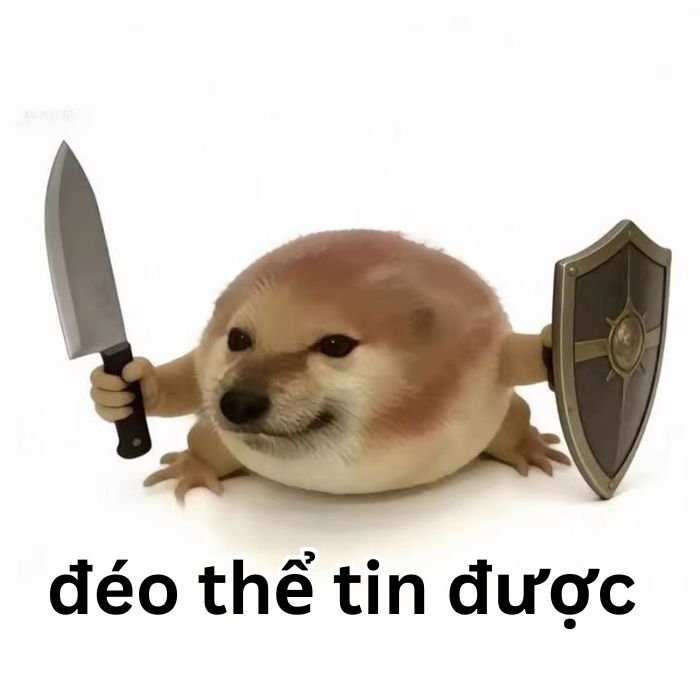 ảnh meme đéo tin chế ai