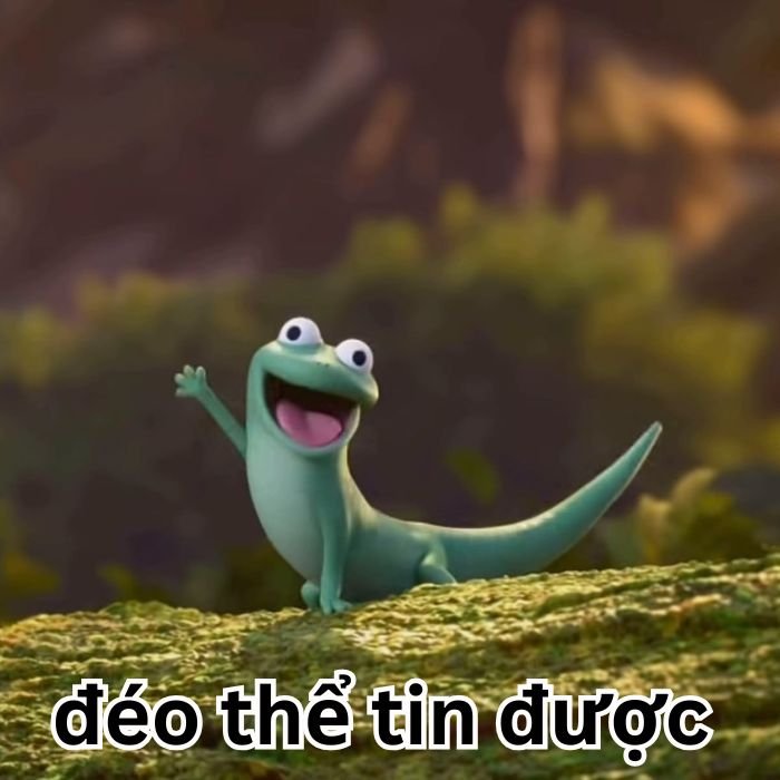 ảnh meme đéo tin chế
