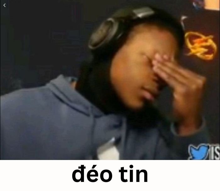 ảnh meme đéo tin hài