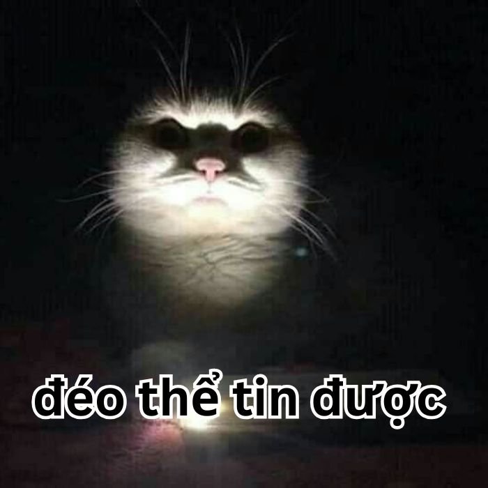 ảnh meme đéo tin siêu bựa