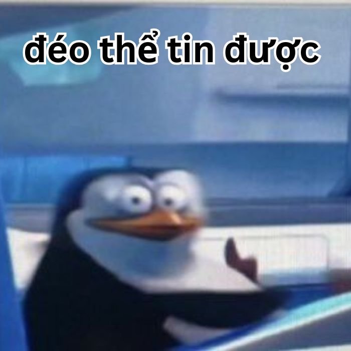 ảnh meme đéo tin siêu hài