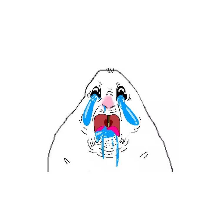 ảnh meme động vật siêu hài