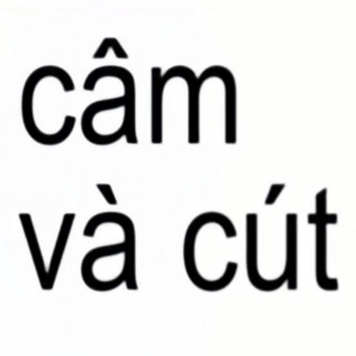 ảnh meme font hot nhất