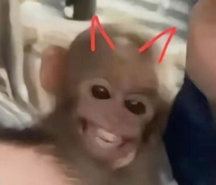 ảnh meme giận cute quỷ