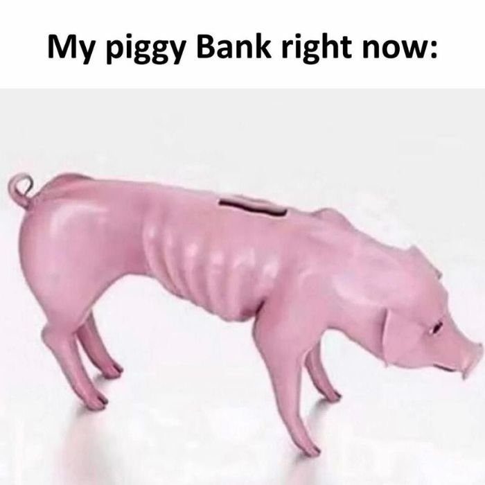 ảnh meme hết tiền heo bựa