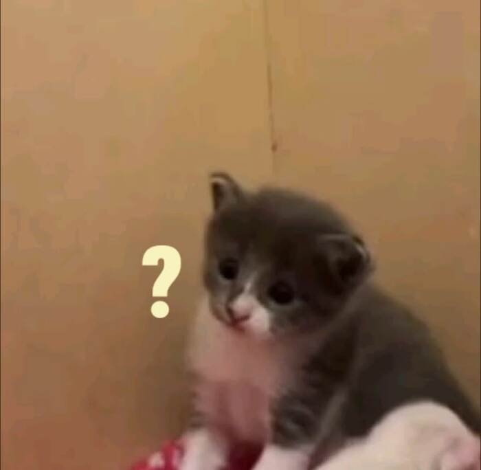 ảnh meme hỏi chấm cực bựa