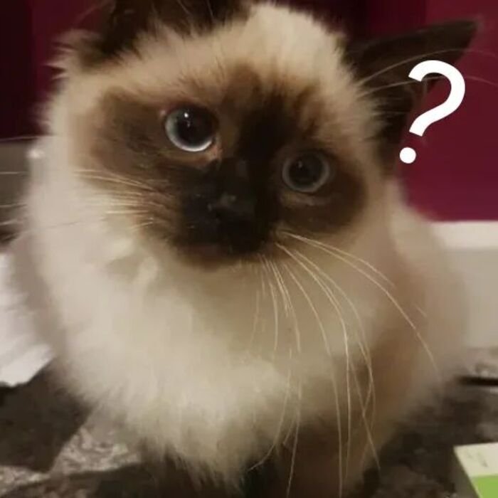 ảnh meme hỏi chấm hài bựa