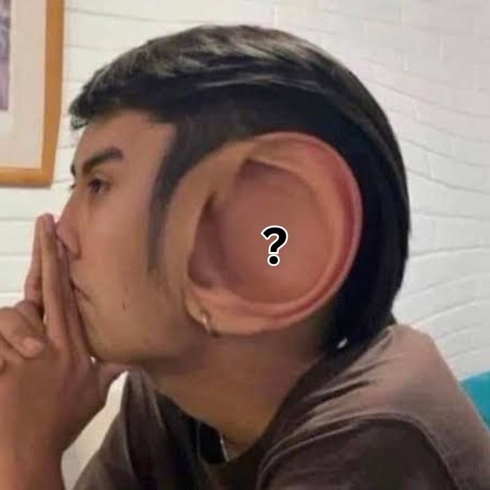 ảnh meme hỏi chấm hài